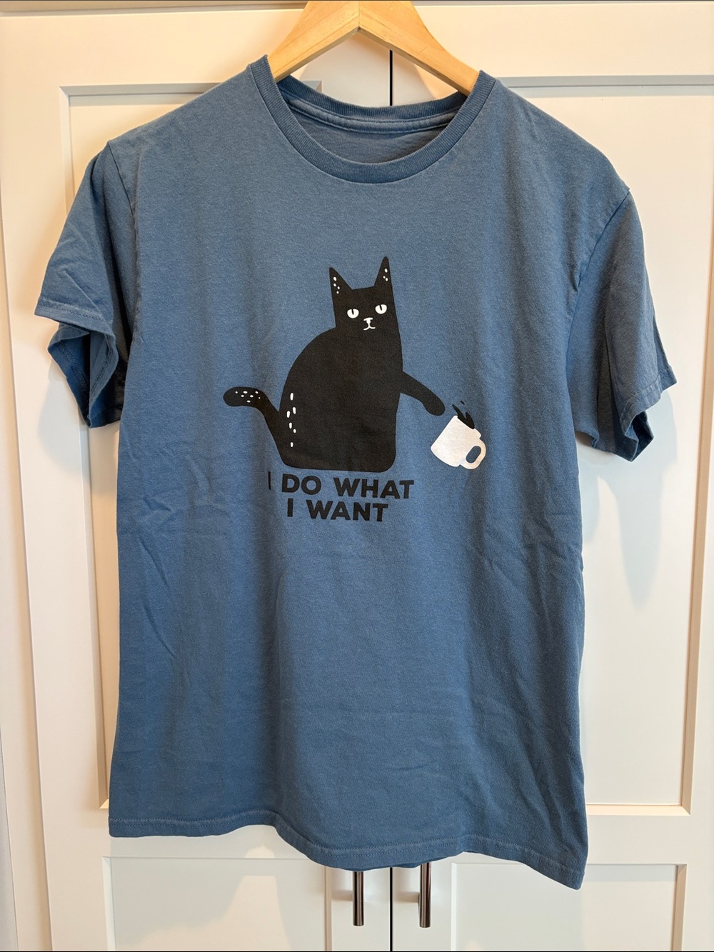 Cat Lovers! I Do What I Want Blue Cat Graphic Tee